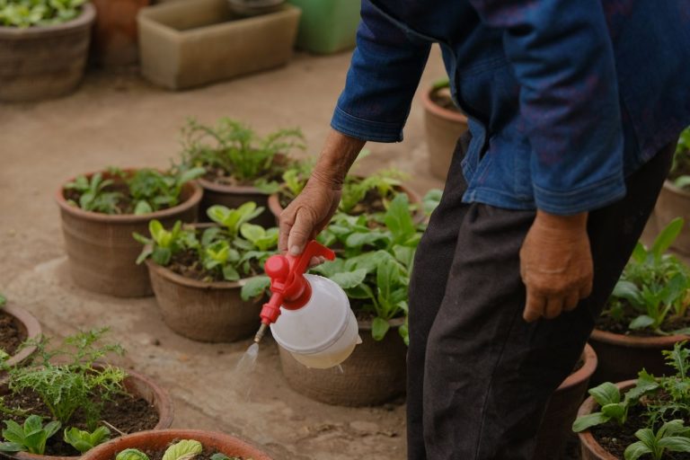 Dosage de Roundup pour 5 litres d’eau