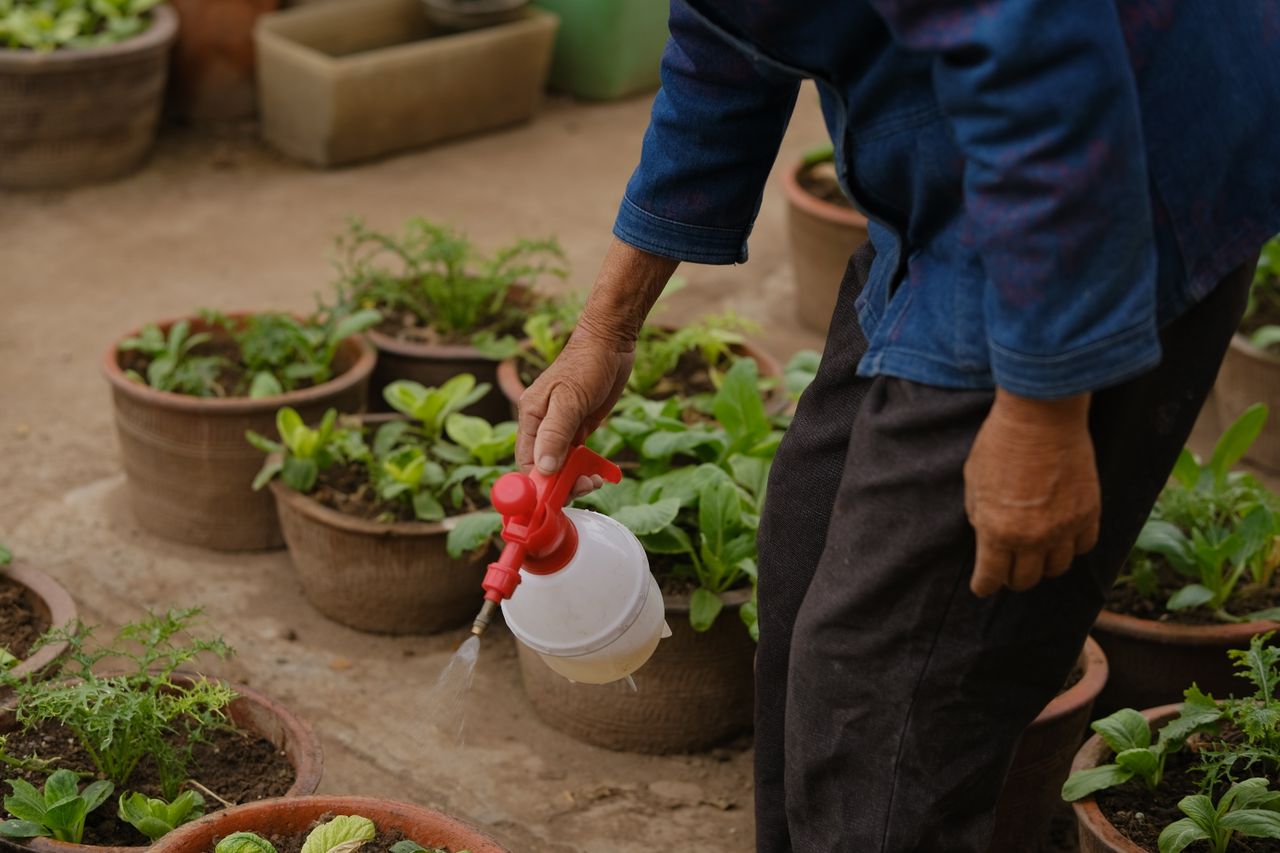 Dosage de Roundup pour 5 litres d’eau